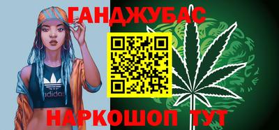крисы Абакан