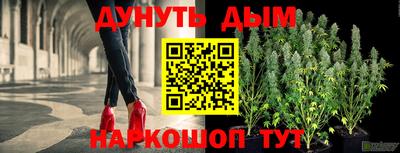 крисы Абакан