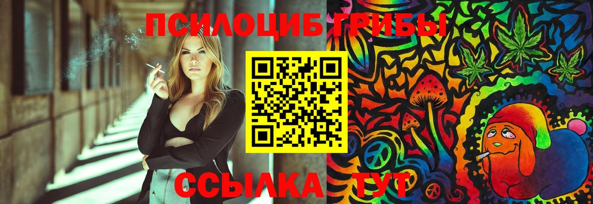 Галлюциногенные грибы MAGIC MUSHROOMS  Галлюциногенные грибы прущие грибы  Алатырь  Вход с VPN 